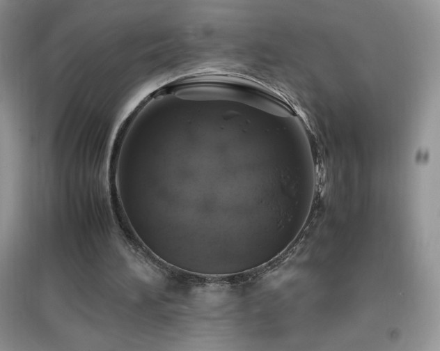 X0000097000196200802081451