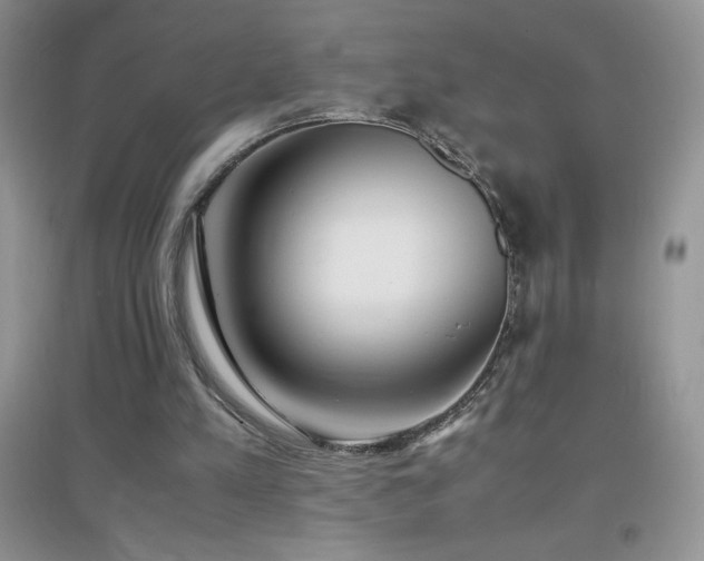 X0000097000197200802081451