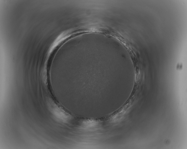 X0000097000198200802081451