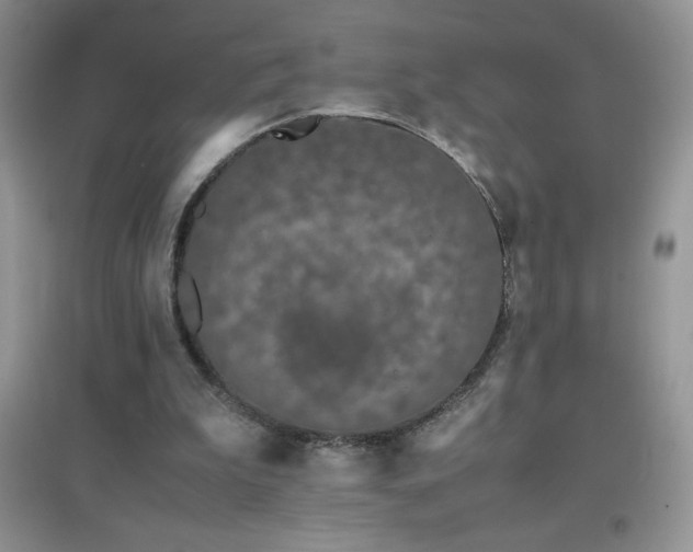 X0000097000199200802081451