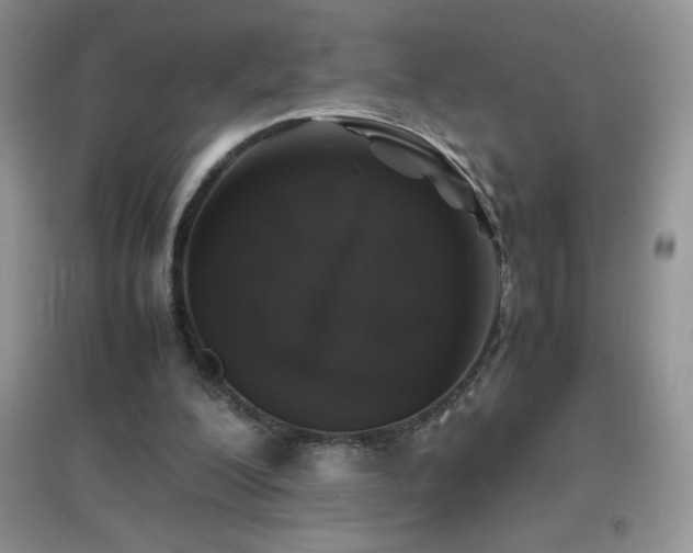 X0000097000200200802081451