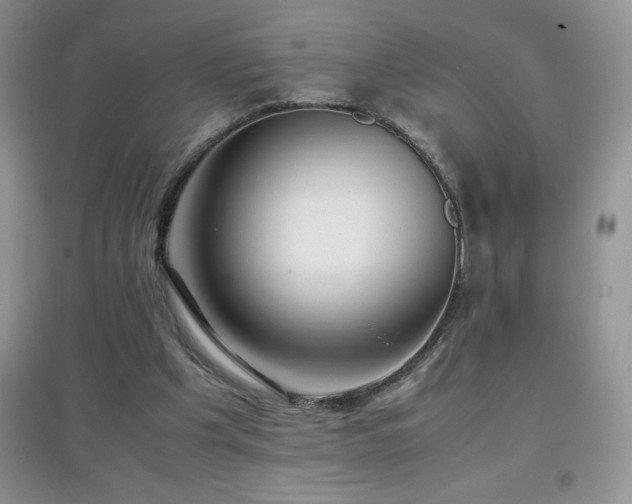 X0000097000201200802081451