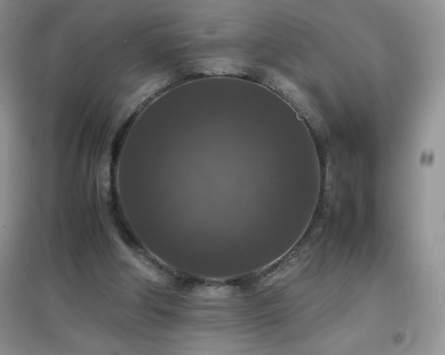 X0000097000202200802081451