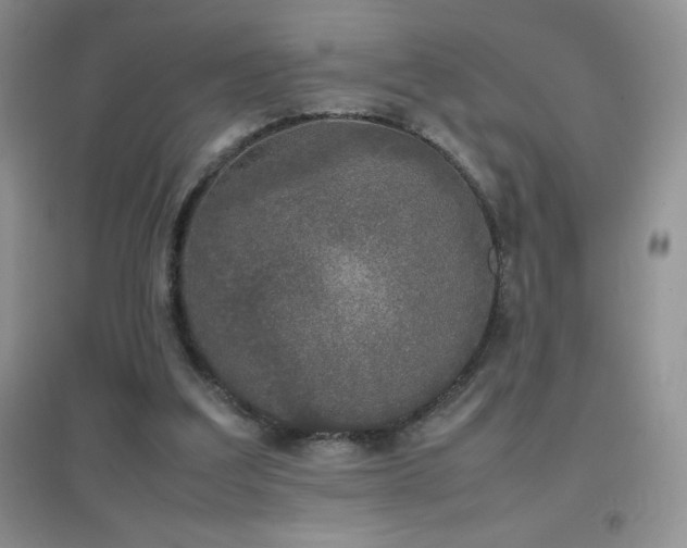 X0000097000203200802081451