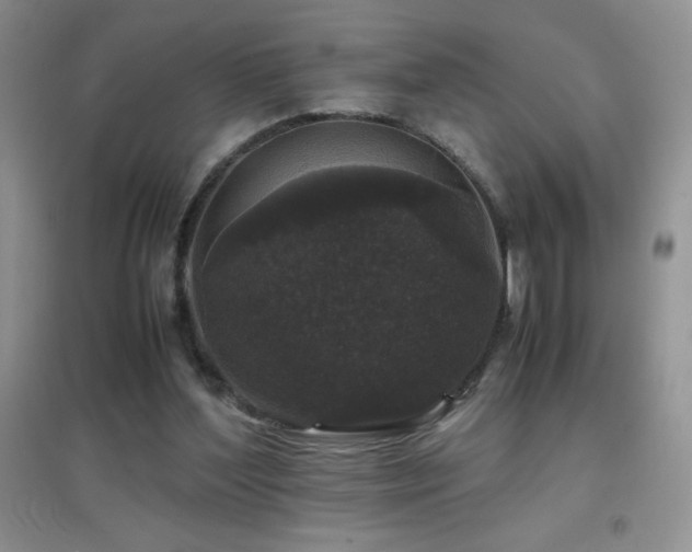 X0000097000204200802081451