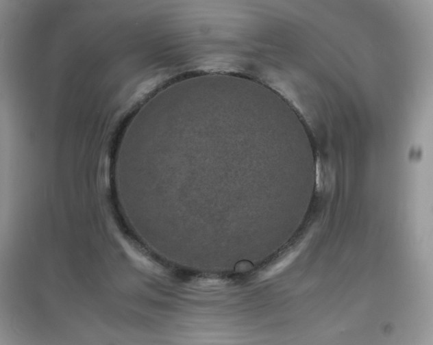 X0000097000205200802081451