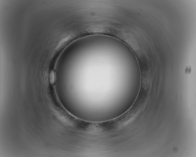 X0000097000207200802081451