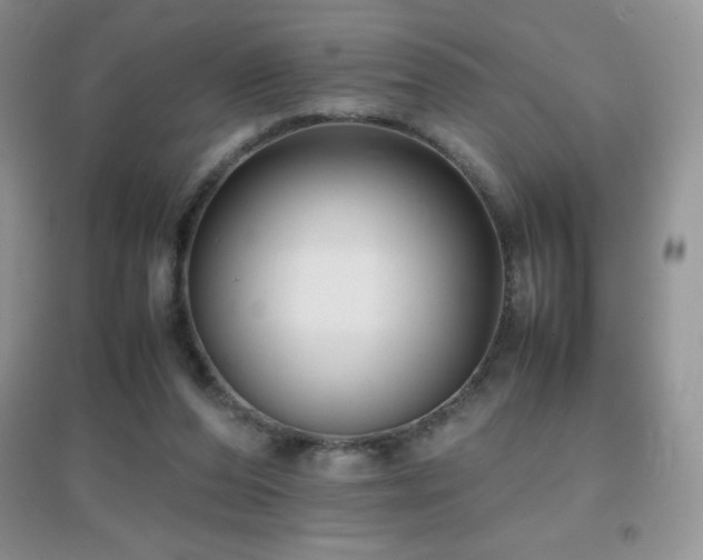X0000097000208200802081451