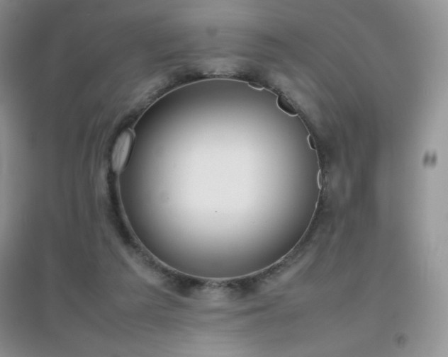 X0000097000209200802081451