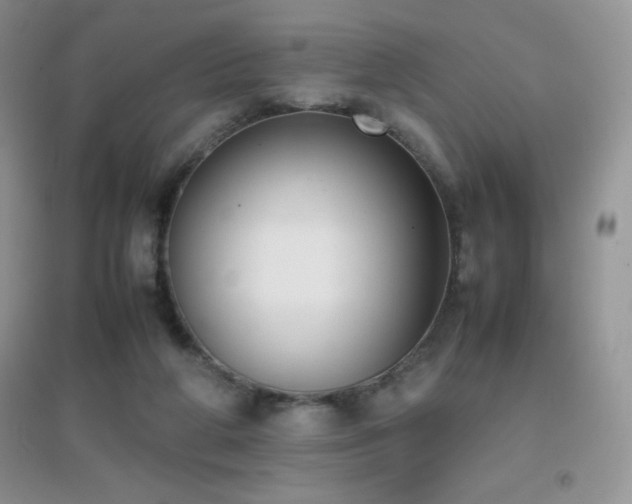 X0000097000210200802081451