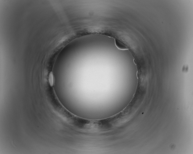 X0000097000211200802081451