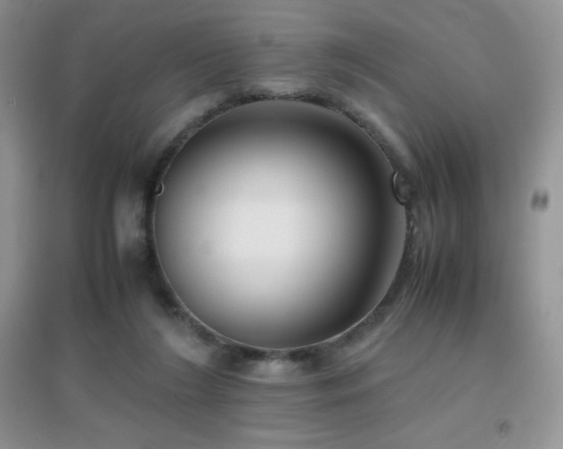 X0000097000212200802081451