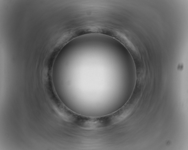 X0000097000213200802081451