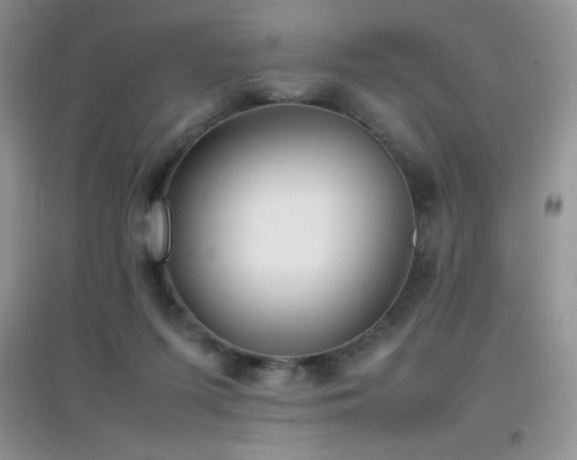 X0000097000215200802081451