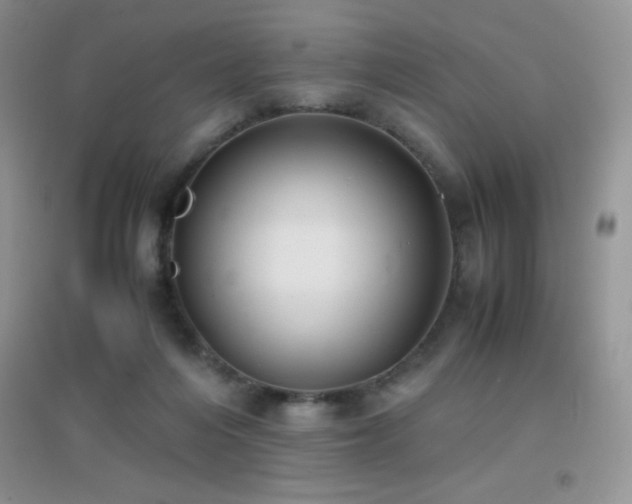 X0000097000216200802081451