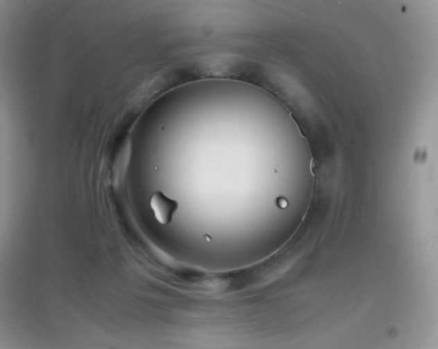 X0000097000217200802081451