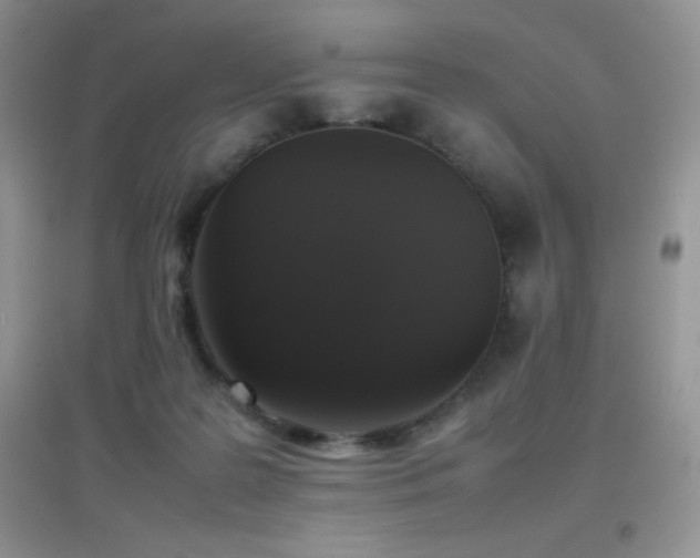 X0000097000219200802081451