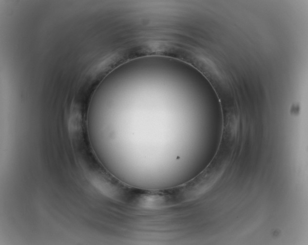 X0000097000220200802081451