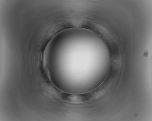 X0000097000221200802081451