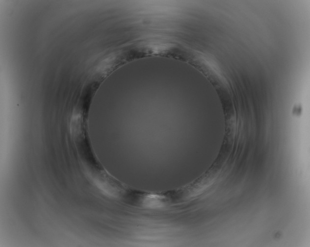 X0000097000222200802081451