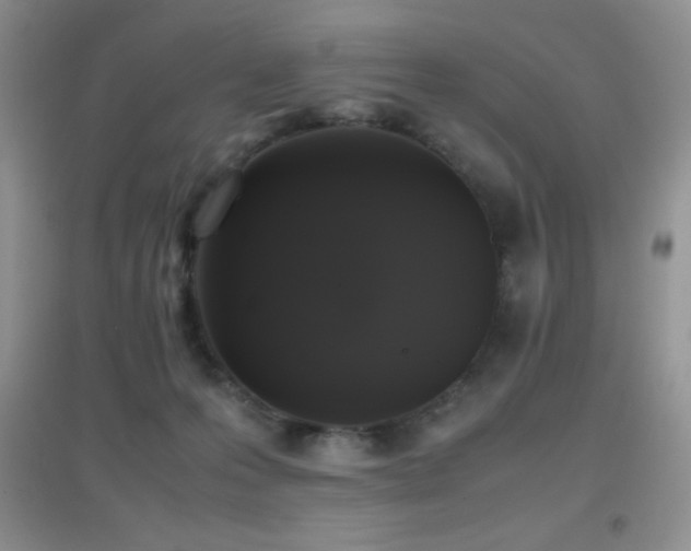 X0000097000223200802081451