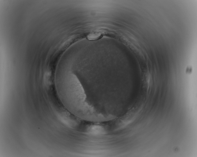 X0000097000224200802081451