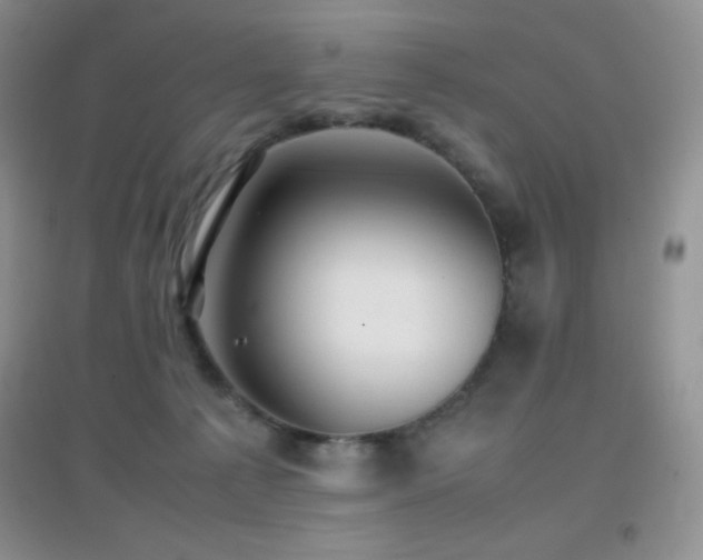 X0000097000225200802081451