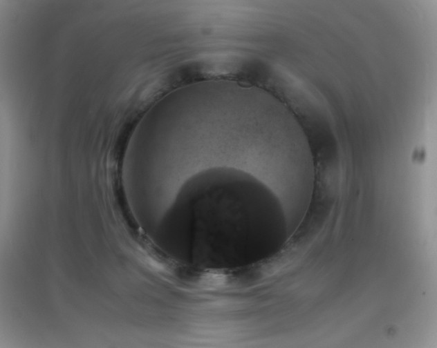 X0000097000227200802081451
