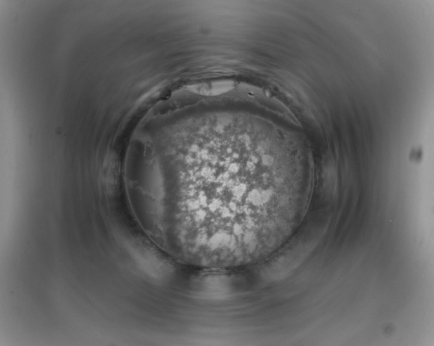 X0000097000228200802081451