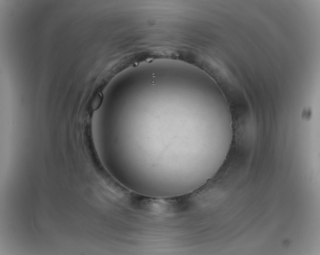 X0000097000229200802081451