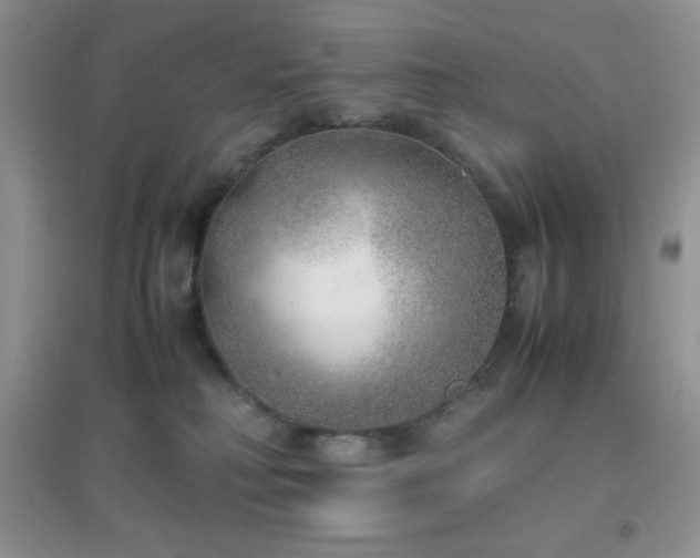 X0000097000230200802081451