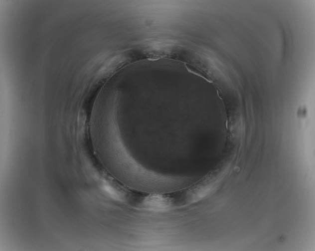 X0000097000231200802081451