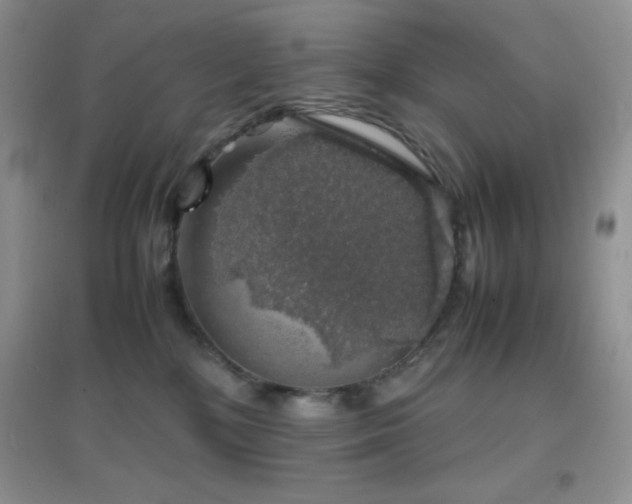 X0000097000232200802081451