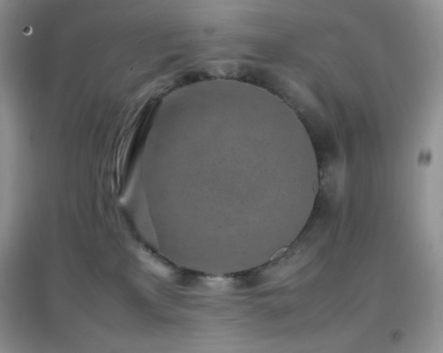 X0000097000233200802081451