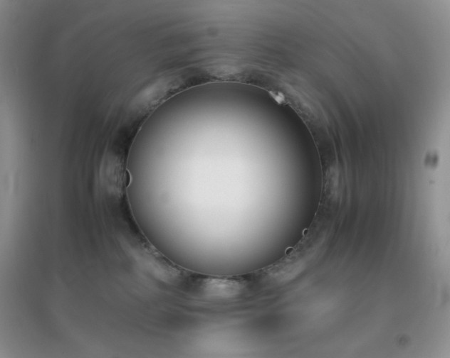 X0000097000234200802081451