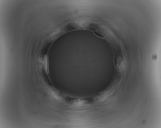 X0000097000235200802081451