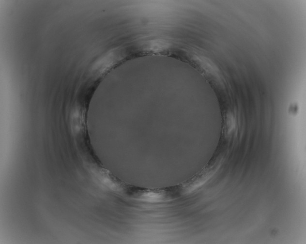 X0000097000236200802081451