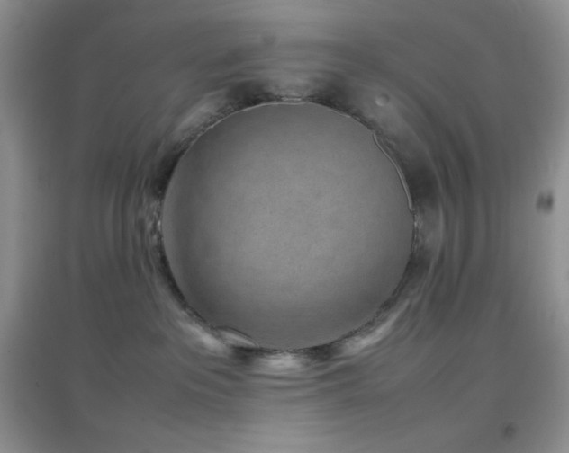 X0000097000237200802081451