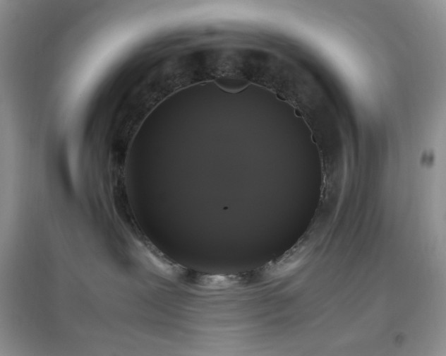 X0000097000239200802081451