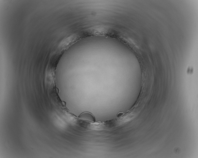 X0000097000240200802081451