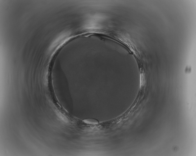 X0000097000243200802081450