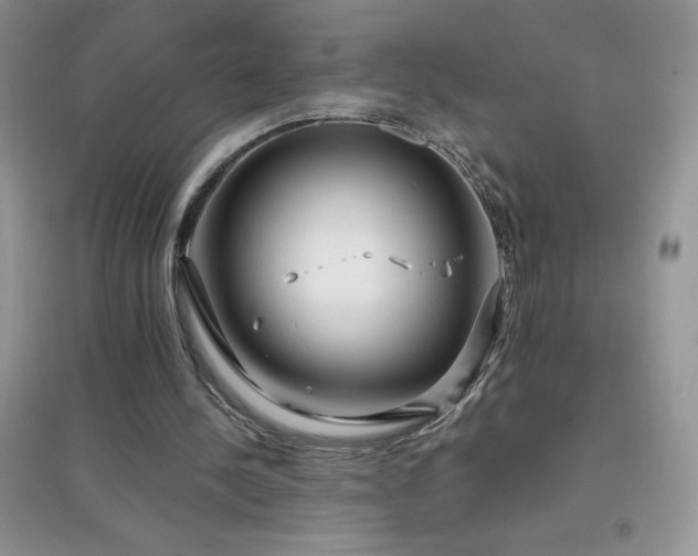 X0000097000244200802081450
