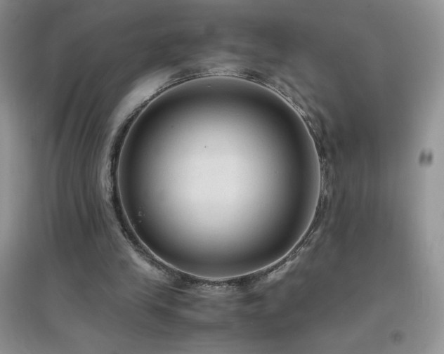 X0000097000245200802081450