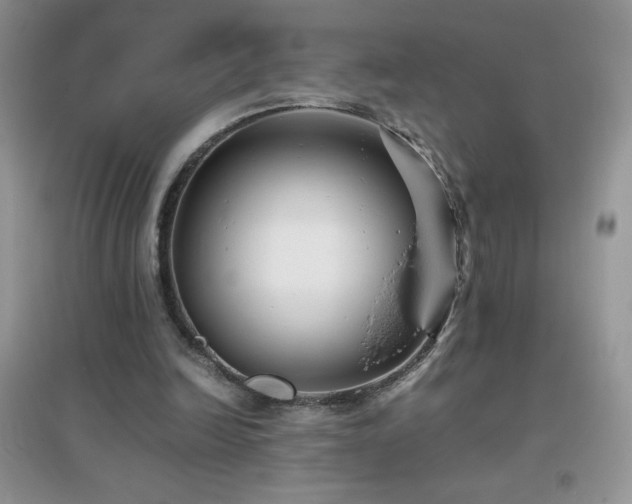 X0000097000246200802081450