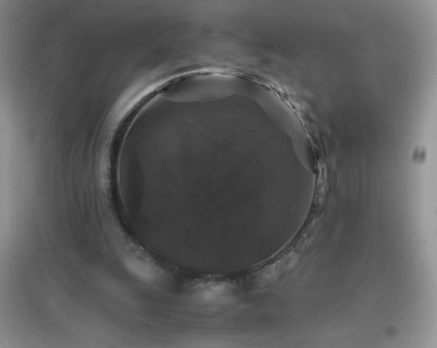 X0000097000247200802081450