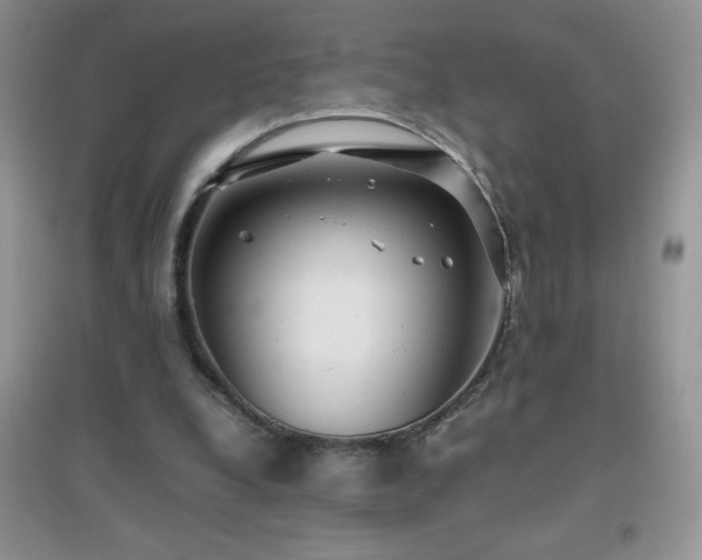 X0000097000248200802081450