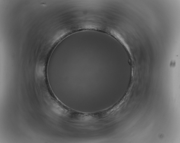 X0000097000249200802081450