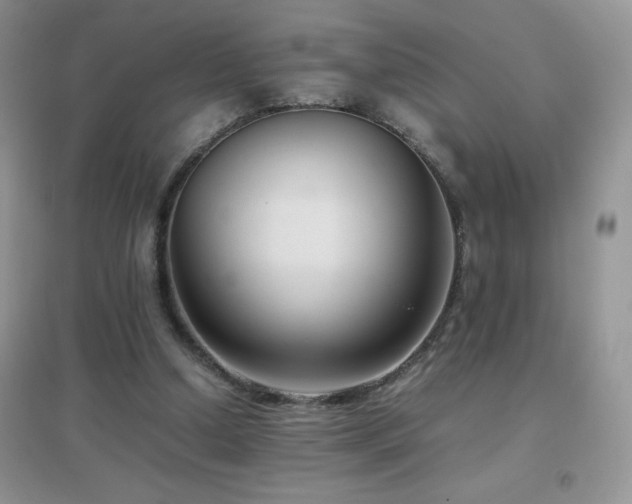 X0000097000250200802081450
