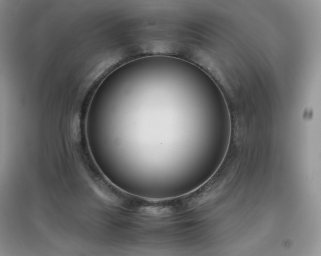X0000097000251200802081450