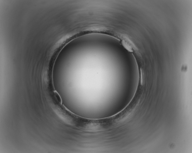 X0000097000252200802081450